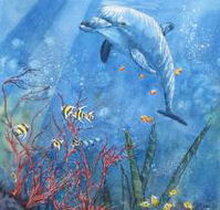 Nadas Fine Art Gallery - Accommodation Tasmania