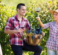 Two Tails Wines - Accommodation Tasmania
