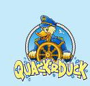 Quackr duck - Accommodation Tasmania