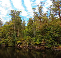 A R Reflections River Cruises - Accommodation Tasmania