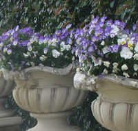 Gardenalia Open Garden and Rare Plant Nursery - Accommodation Tasmania