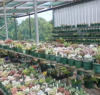 Summerland Aquarium - Accommodation Tasmania