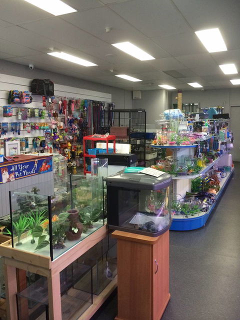 Nambour Pet Shop - Accommodation Tasmania 0