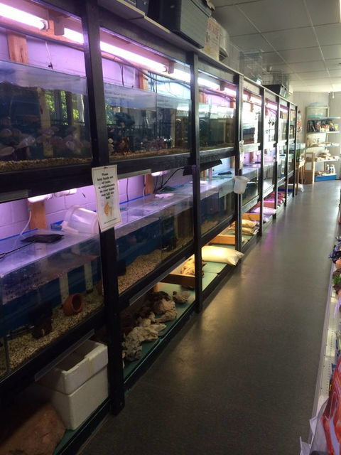 Nambour Pet Shop - Accommodation Tasmania 1