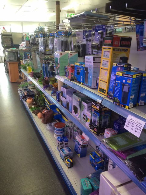 Nambour Pet Shop - Accommodation Tasmania 2