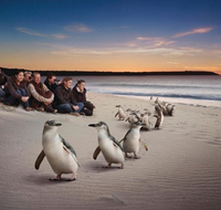 Down Under Thrills - Accommodation Tasmania