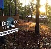 Didgeridoo Jam in the Park - Accommodation Tasmania