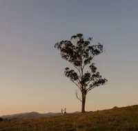 Faulls Ridge Winery - Accommodation Tasmania