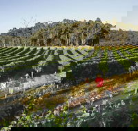 Margaret River Caves Wine and Cape Leeuwin Lighthouse Tour from Perth - Accommodation Tasmania
