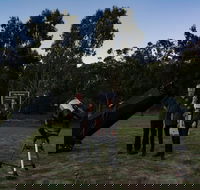 Stargazing Busselton with Mobile Observatory - Accommodation Tasmania