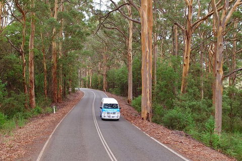 Taste Of The Great Southern - Accommodation Tasmania 3