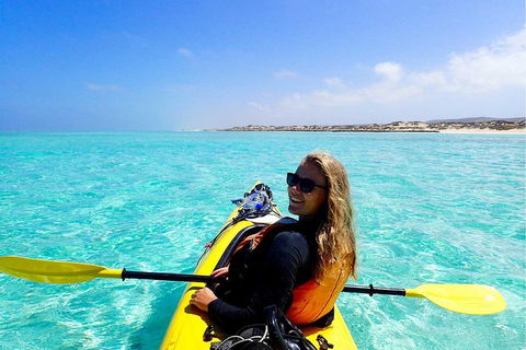 Lagoon Explorer - Ningaloo Reef Full-Day Kayaking And Snorkeling Adventure - Accommodation Tasmania 2