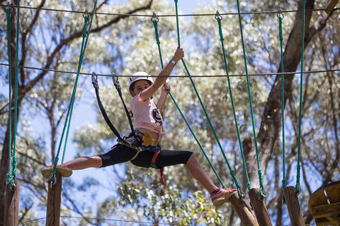 Busselton High Ropes And Zipline Adventure - Accommodation Tasmania 1