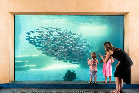 AQWA The Aquarium Of Western Australia: General Admission - Accommodation Tasmania 0