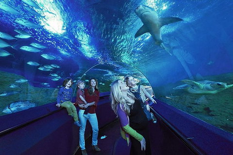 AQWA The Aquarium Of Western Australia: General Admission - Accommodation Tasmania 14