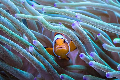 AQWA The Aquarium Of Western Australia: General Admission - Accommodation Tasmania 4