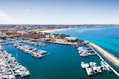 AQWA The Aquarium Of Western Australia: General Admission - Accommodation Tasmania 11
