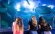 AQWA The Aquarium Of Western Australia: General Admission - thumb 7