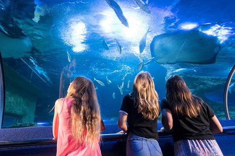 AQWA The Aquarium Of Western Australia: General Admission - Accommodation Tasmania 7
