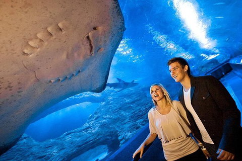 AQWA The Aquarium Of Western Australia: General Admission - Accommodation Tasmania 6