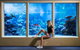 AQWA The Aquarium Of Western Australia: General Admission - thumb 12