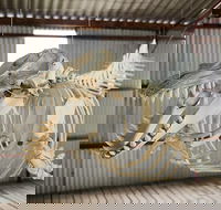 Albany's Whale Story - Accommodation Tasmania