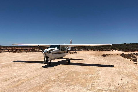 Kalbarri Gorges & West Coast - Ground & Air Tour - Accommodation Tasmania 6