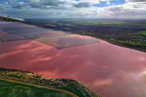 Kalbarri, Pink Lake And Abrolhos Islands Nature Tour - Accommodation Tasmania 3