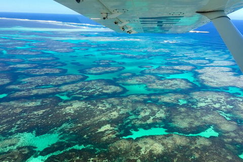 Kalbarri, Pink Lake And Abrolhos Islands Nature Tour - Accommodation Tasmania 5
