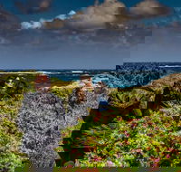 Guided Walks on the Cape to Cape - Wilyabrup Cliffs - Accommodation Tasmania