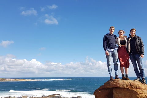 7 Hour Full Day Tour: Morning Tea, Chocolate, Olives, 3 Wineries & Lunch - Accommodation Tasmania 5