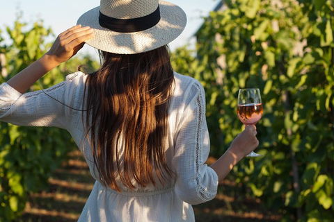 7 Hour Full Day Tour: Morning Tea, Chocolate, Olives, 3 Wineries & Lunch - Accommodation Tasmania 2
