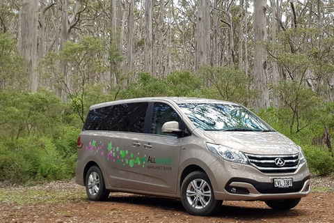 7 Hour Full Day Tour: Morning Tea, Chocolate, Olives, 3 Wineries & Lunch - Accommodation Tasmania 6
