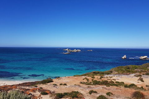 7 Hour Full Day Tour: Morning Tea, Chocolate, Olives, 3 Wineries & Lunch - Accommodation Tasmania 10