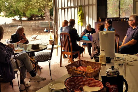 7 Hour Full Day Tour: Morning Tea, Chocolate, Olives, 3 Wineries & Lunch - Accommodation Tasmania 13