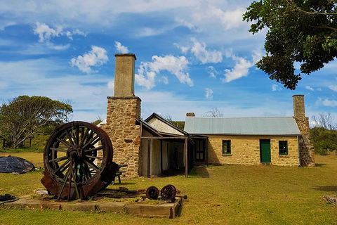 7 Hour Full Day Tour: Morning Tea, Chocolate, Olives, 3 Wineries & Lunch - Accommodation Tasmania 4