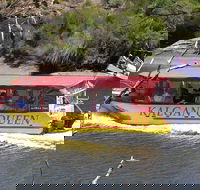 Kalgan Queen Scenic Cruises a four hour sheltered water wildlife tour daily fun. - Accommodation Tasmania