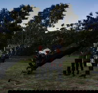 Dusk to Dawn Astronomy Margaret River - Accommodation Tasmania