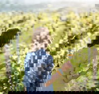 5 Hours Wineries Coffee Tasting Forest  Lunch at the Berry Farm - Accommodation Tasmania
