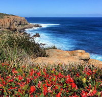Cape to Cape End-to-End 8 Day Walking Experience - Accommodation Tasmania