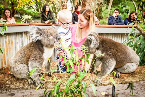Perth's Outback Splash: General Entry Ticket - Accommodation Tasmania 1