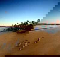 Phillip Island Ultimate Penguin Eco Tour or Skybox Experience - Accommodation Tasmania