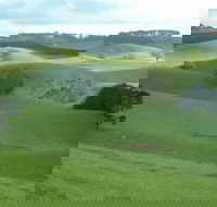 Day Tour of Phillip Island  Surrounding Region - Accommodation Tasmania