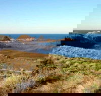 Phillip Island Walking  Bird Watching Tour - Accommodation Tasmania