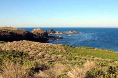 Phillip Island Walking & Bird Watching Tour - Accommodation Tasmania 0