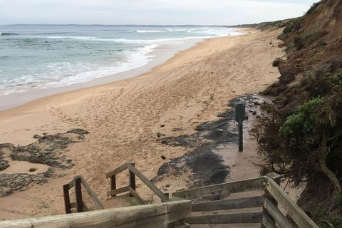 Phillip Island Walking & Bird Watching Tour - Accommodation Tasmania 3