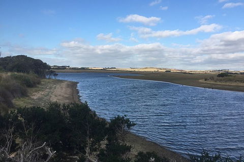 Phillip Island Walking & Bird Watching Tour - Accommodation Tasmania 7