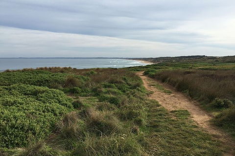 Phillip Island Walking & Bird Watching Tour - Accommodation Tasmania 5