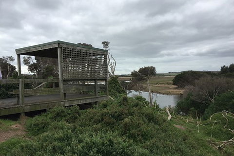 Phillip Island Walking & Bird Watching Tour - Accommodation Tasmania 2