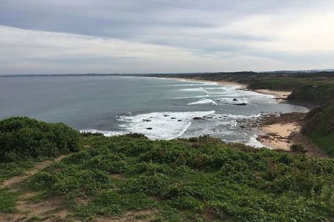 Phillip Island Walking & Bird Watching Tour - Accommodation Tasmania 1